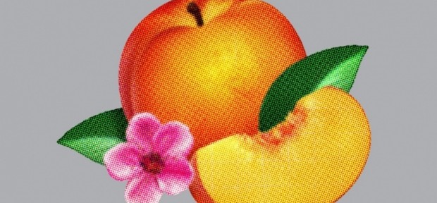 New Music Review: Phoenix’s Bankrupt!